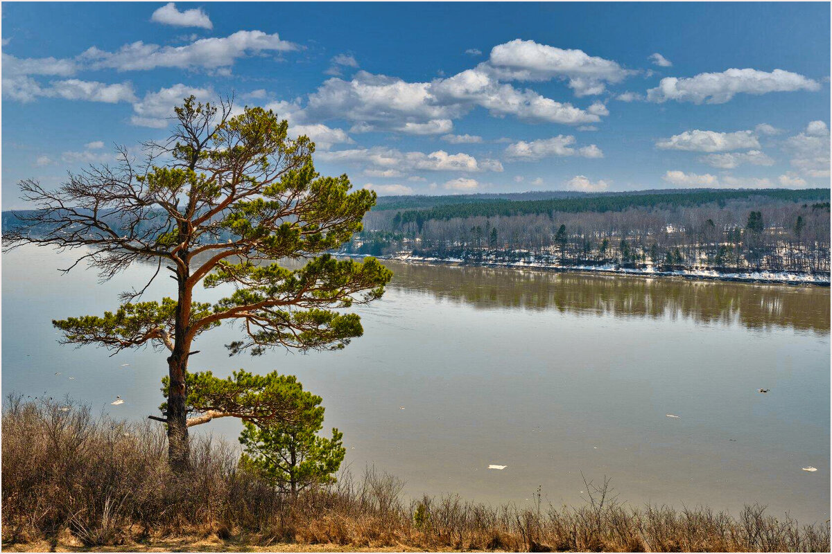 Река Томь... - Алексей Мезенцев