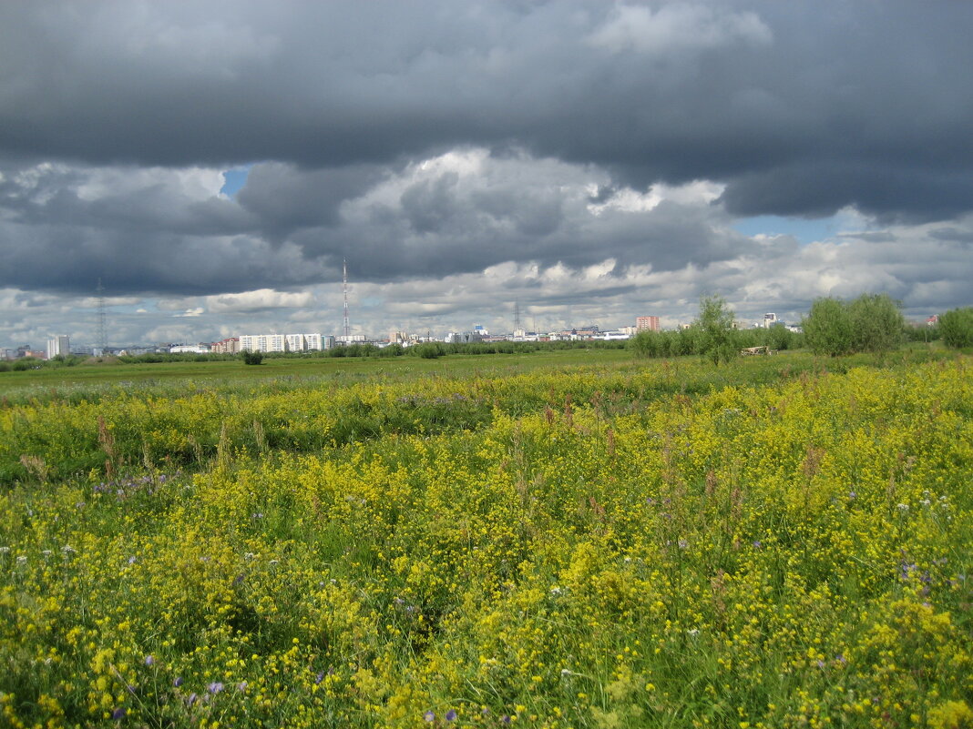 Лето - Anna Ivanova