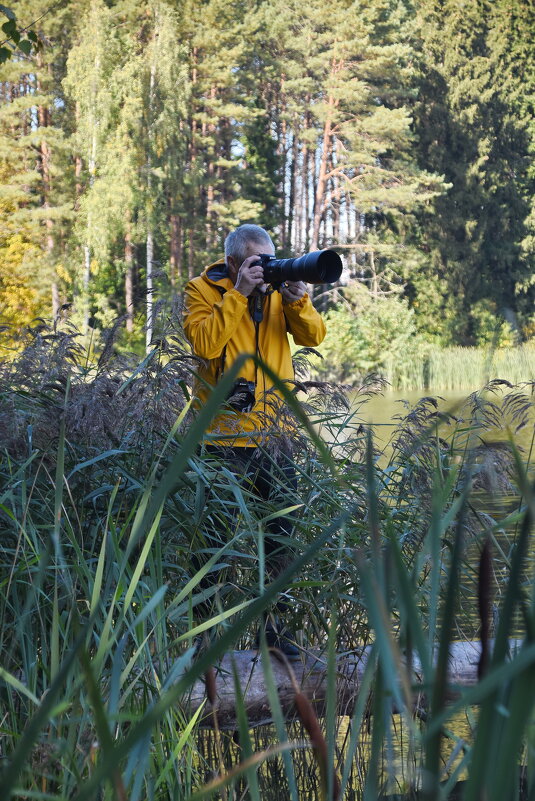 Застукали.... - Sergey (Apg)