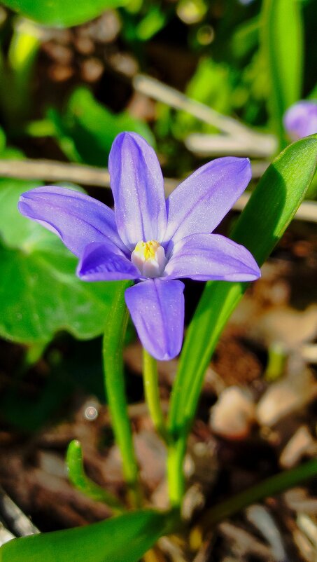 Красота - Татьяна Евдокимова