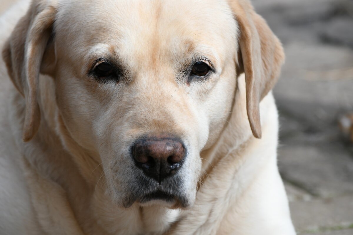 Мой красавчик)) - Татьяна Евдокимова