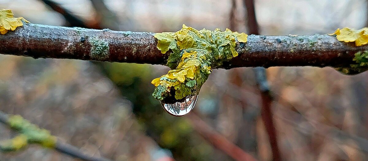 Апрель капель - Михаил Столяров