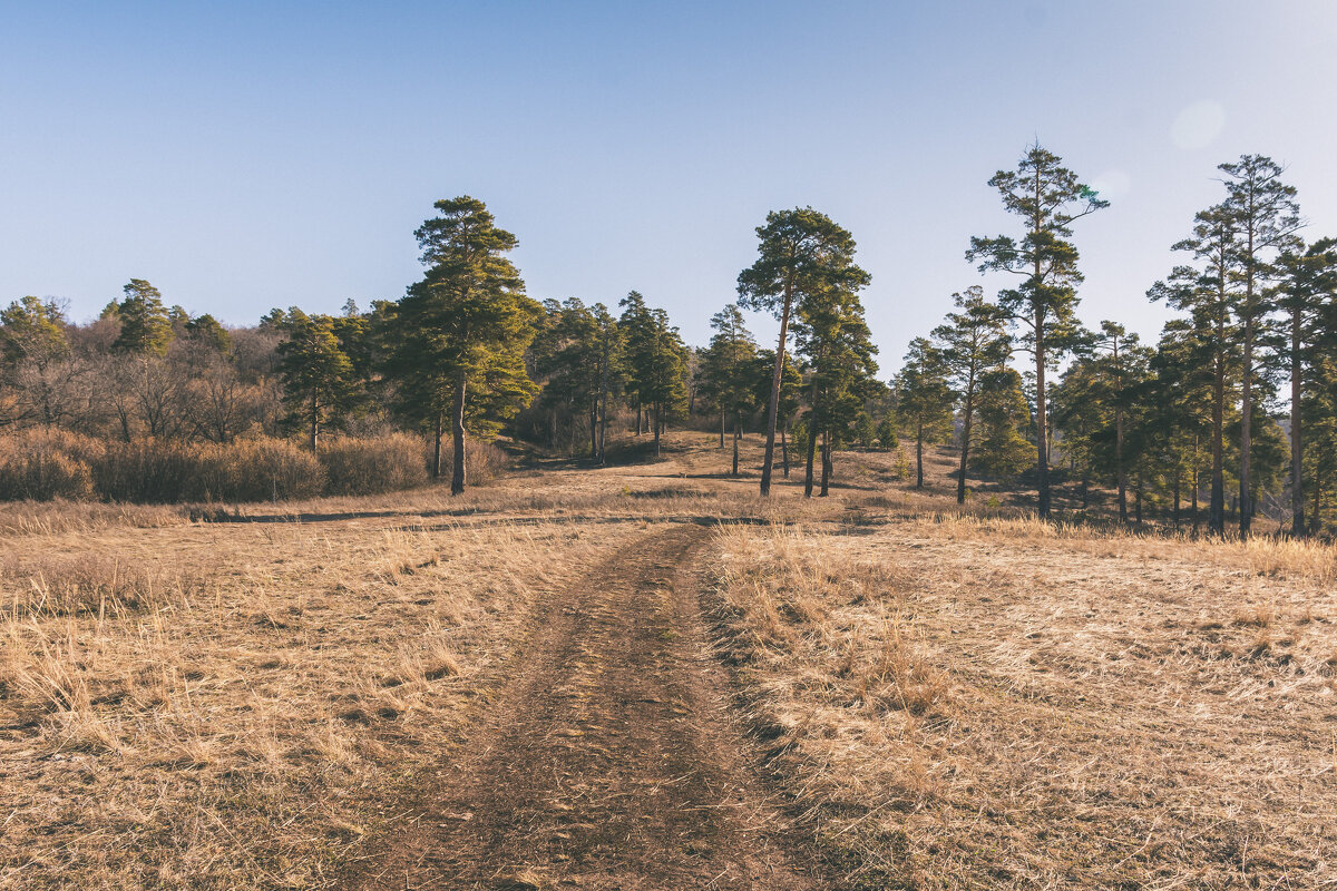 ... - Олег Архипов