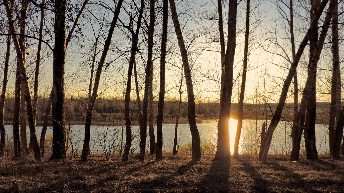 У озера. - Татьяна Нефедьева. У озера. - Татьяна Нефедьева.
