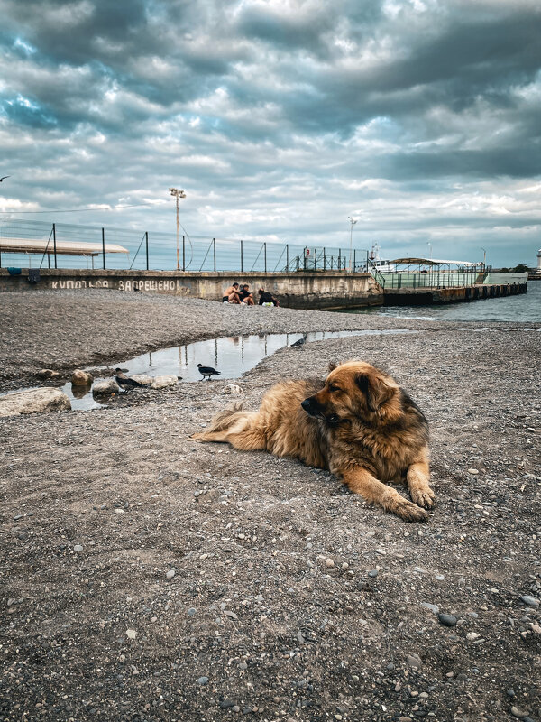 Смотрящий пляжа - Татьяна Аникина Смотрящий пляжа - Татьяна Аникина