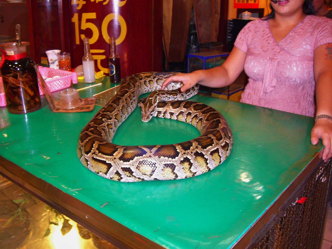 Если Вам не нравятся хомячки, кошечки и собачки, вы можете завести себе небольшого домашего питона. - unix (Илья Утропов) Если Вам не нравятся хомячки, кошечки и собачки, вы можете завести себе небольшого домашего питона. - unix (Илья Утропов)