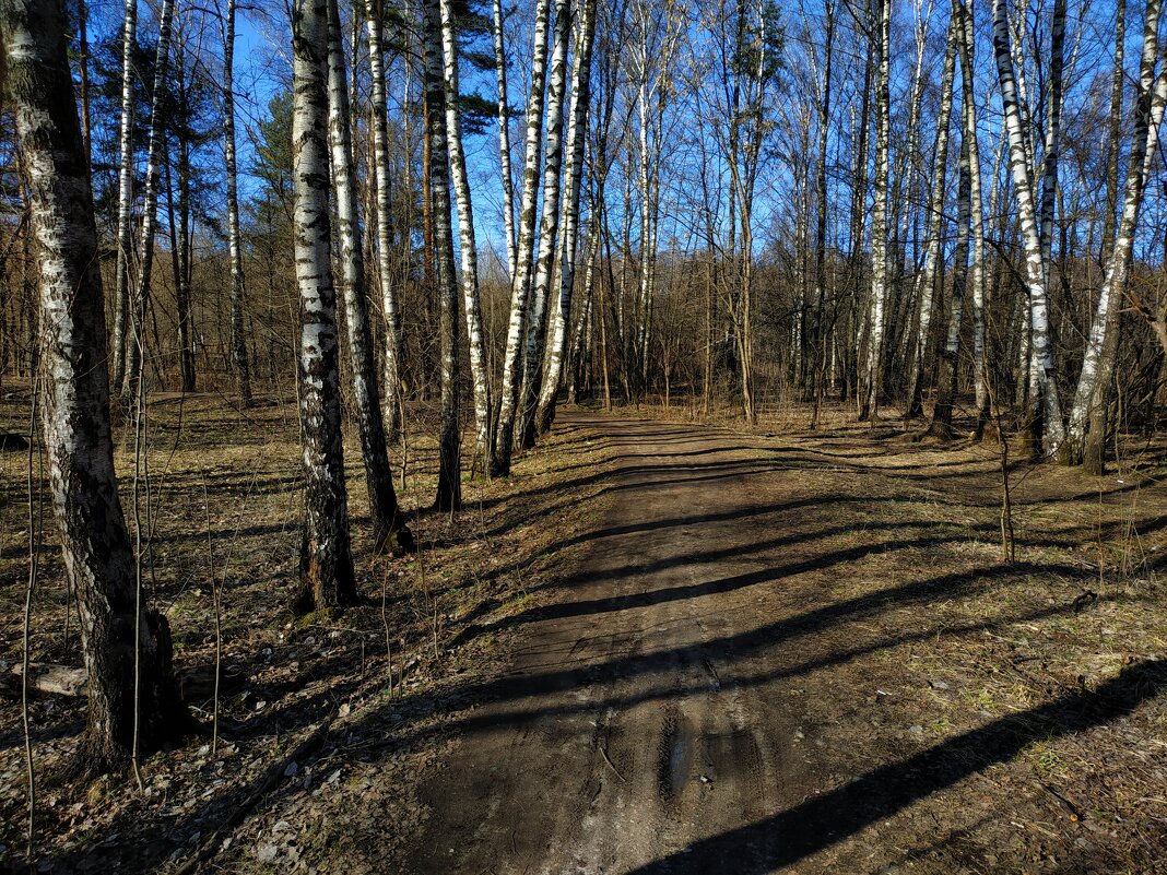 Тема с вариацией - Андрей Лукьянов