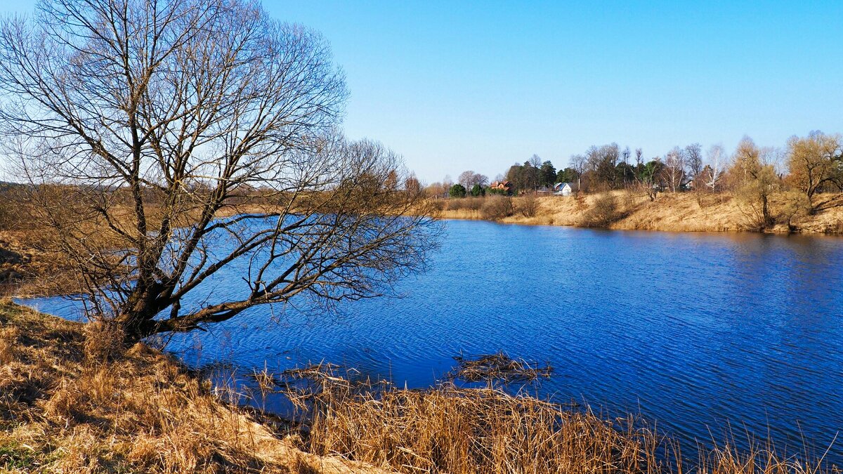 Весна - апрель - Милешкин Владимир Алексеевич Весна - апрель - Милешкин Владимир Алексеевич