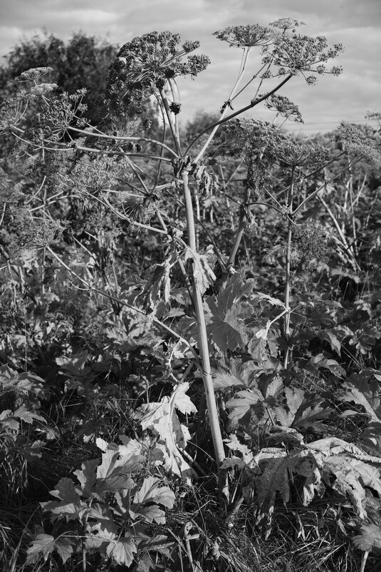 Название отсутствует - Денис Безногов Название отсутствует - Денис Безногов