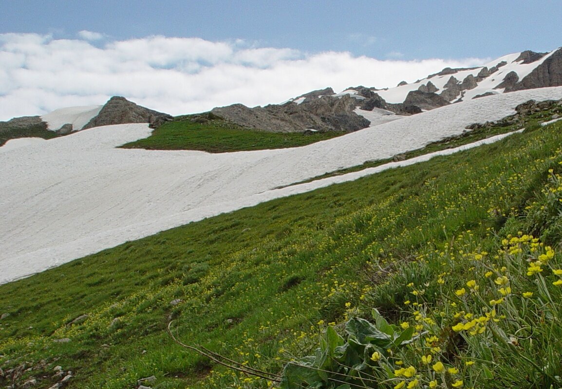 ПРОГУЛКА НА БОЛЬШОЙ ЧИМГАН 3300м. - Виктор Осипчук