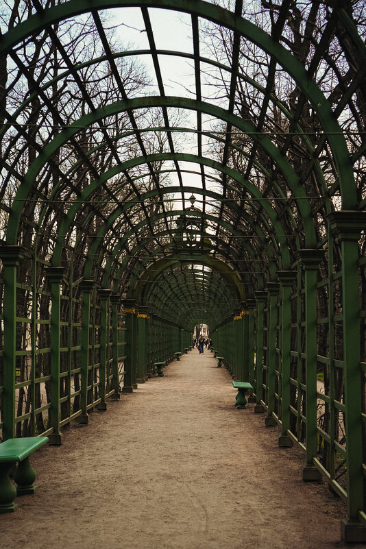 Перспектива - Татьяна Аникина