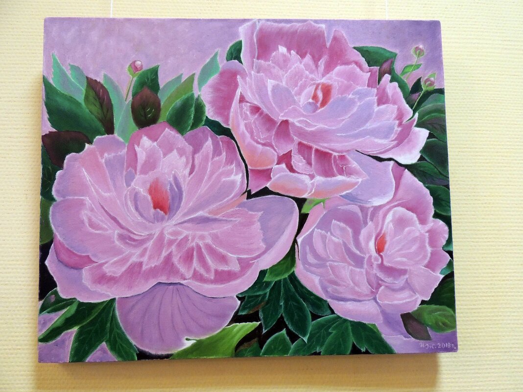 Пионы - Ната57 Наталья Мамедова