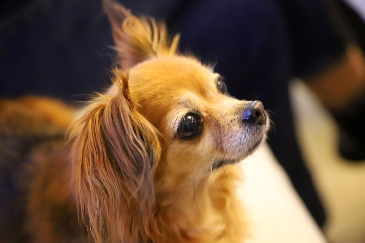 Zh - Андрей Л. В.