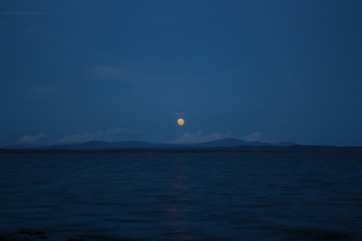 Синяя ночь - Владимир Башко