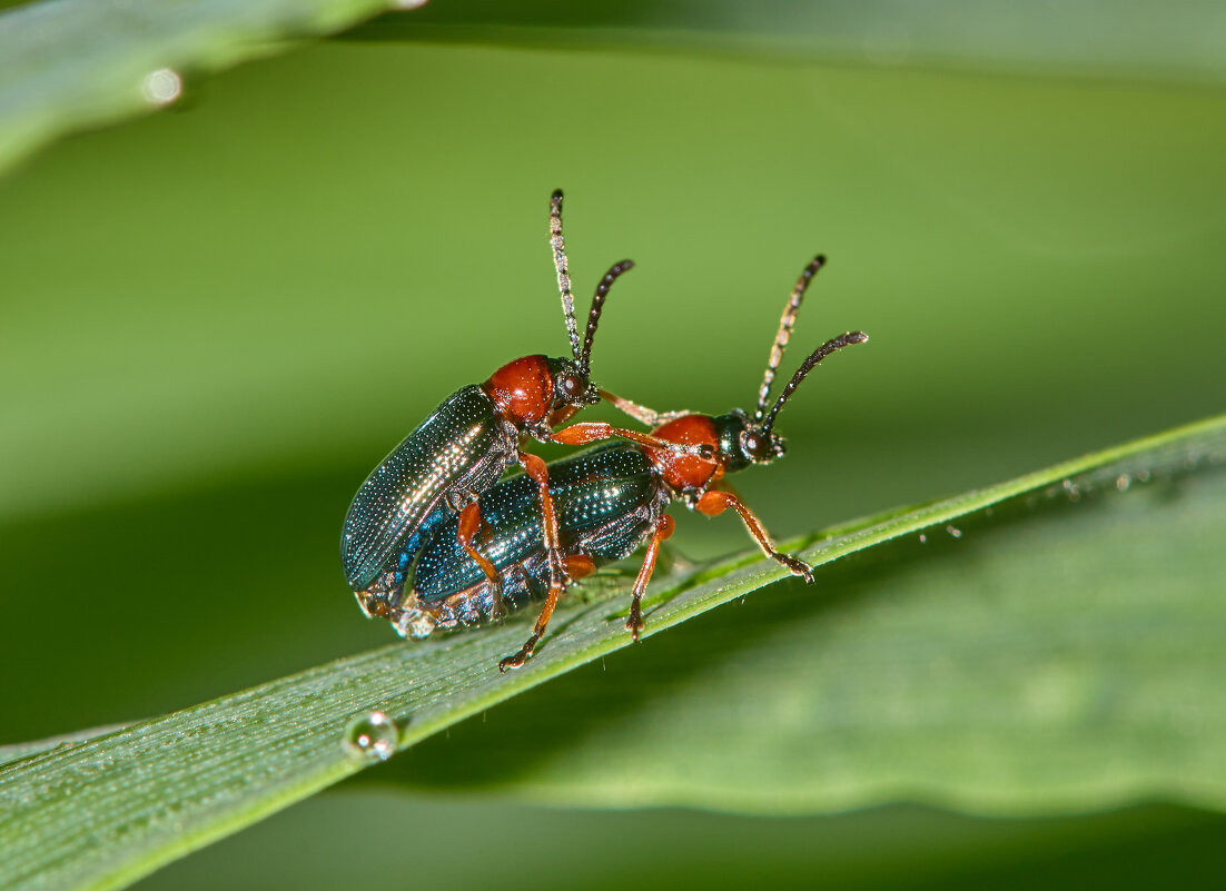 Весна... - Александр Посошенко