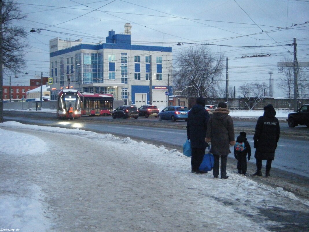 В ожидании - Not Lion