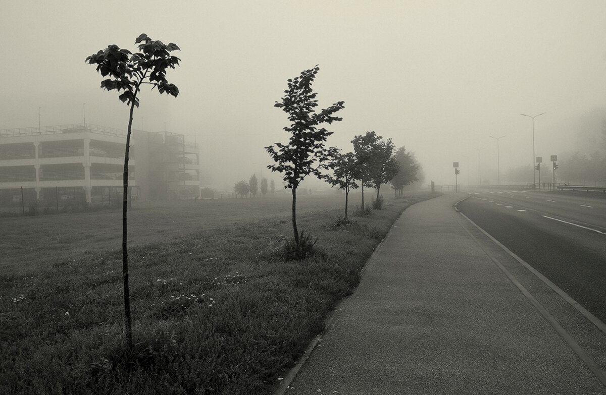 Утро.. - Aleksandr Gal Утро.. - Aleksandr Gal