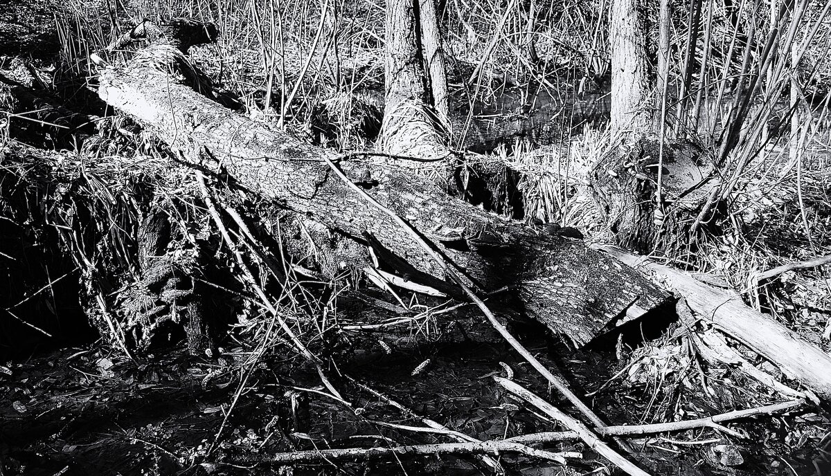 Переход. - Василий Палий