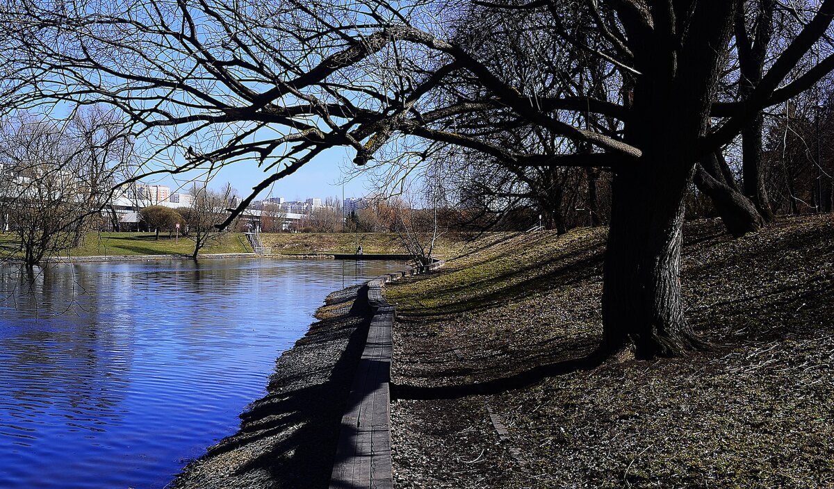 В парке. - Василий Палий
