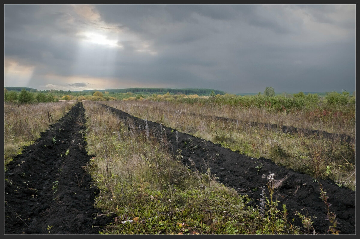 Осень - **** vedin Осень - **** vedin