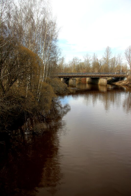 р. Охта - Наталья Герасимова
