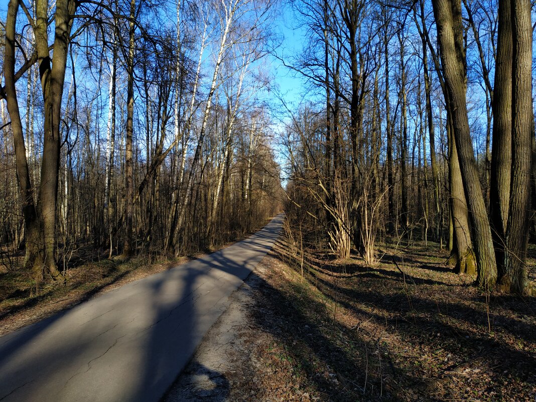 Апрель как он есть в Лосином острове. Дороги, которые я выбираю - Андрей Лукьянов Апрель как он есть в Лосином острове. Дороги, которые я выбираю - Андрей Лукьянов