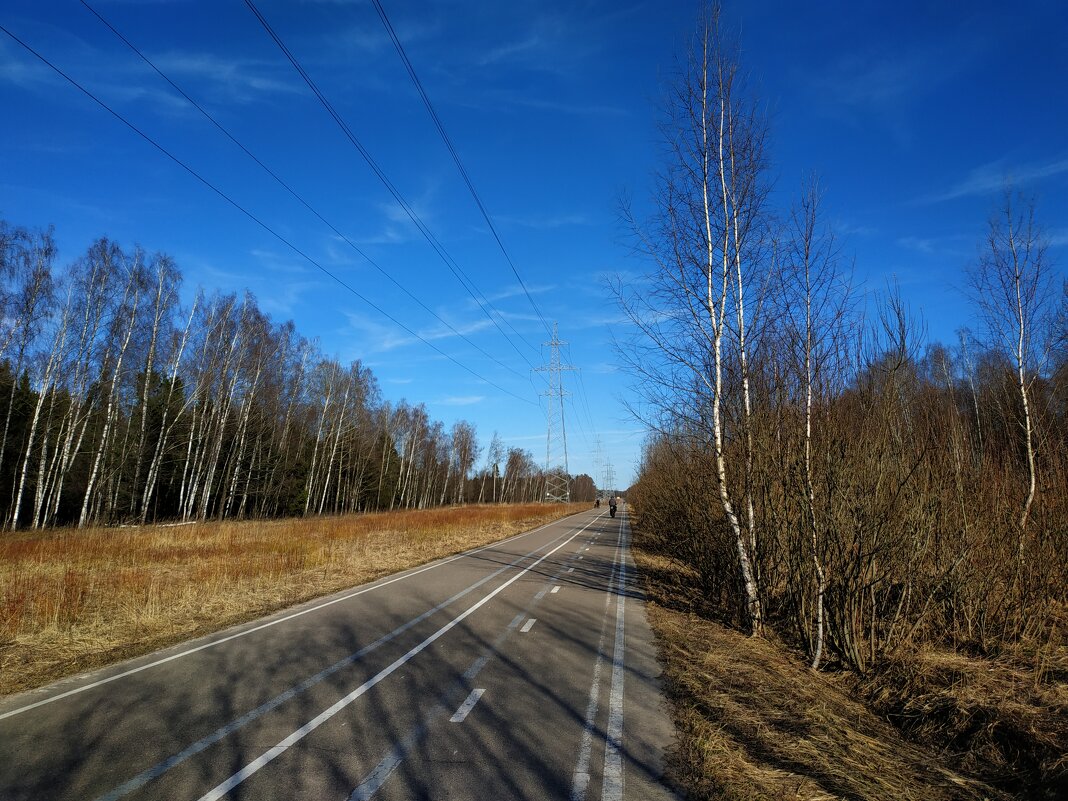 Апрель  как он есть в Лосином острове. Дороги, которые я выбираю - Андрей Лукьянов