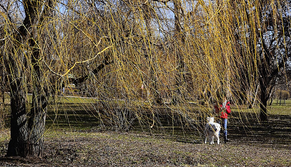 Под надёжной охраной. - Василий Палий Под надёжной охраной. - Василий Палий
