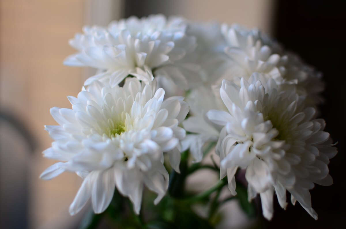 ... - Магомед .