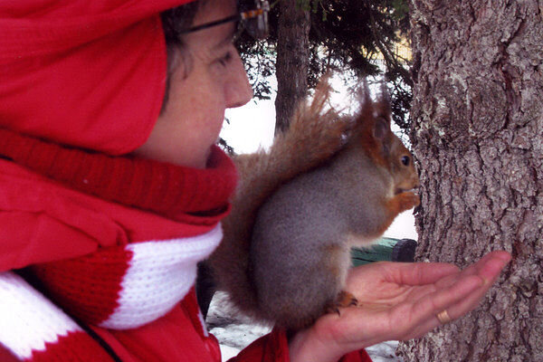 У белки на доверии - Надежда 