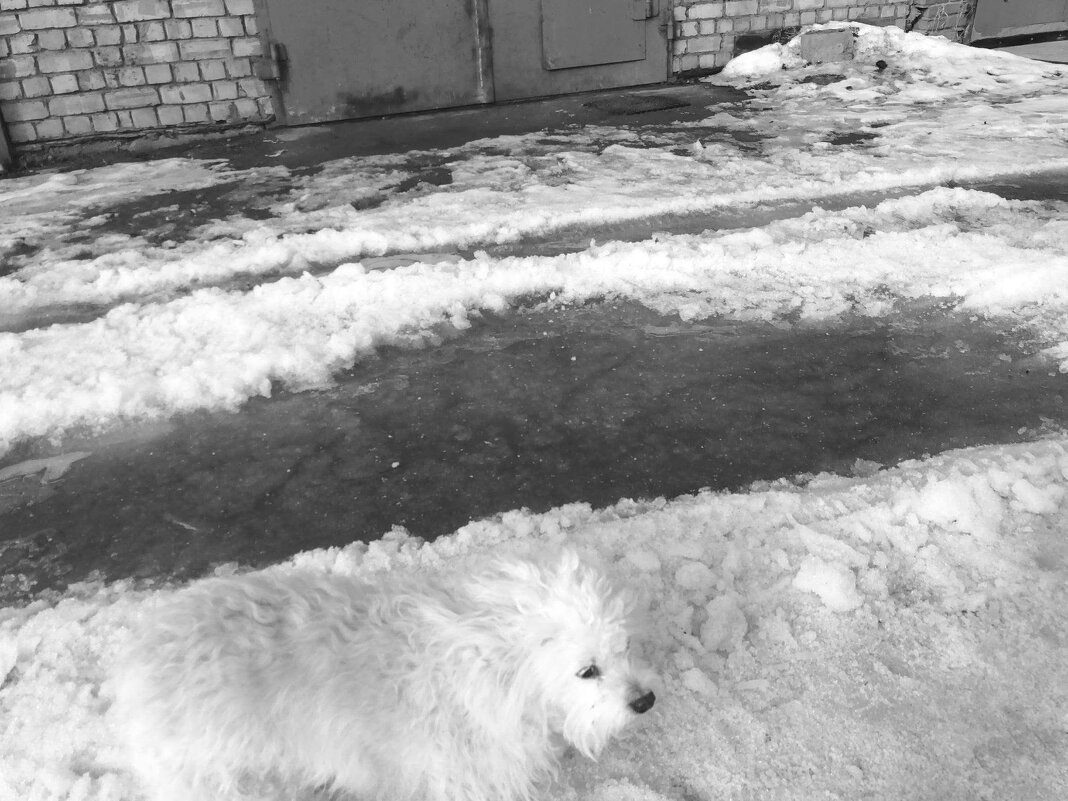 Название отсутствует - Денис Безногов