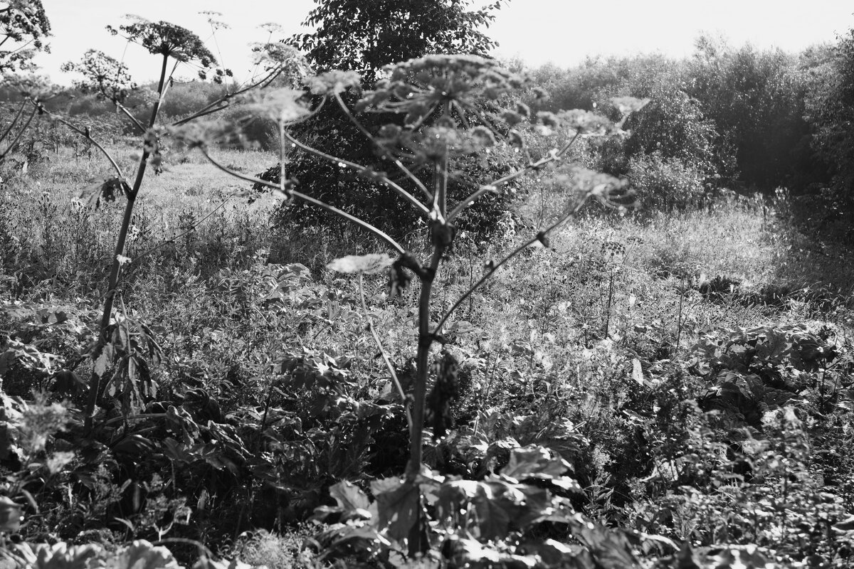 Название отсутствует - Денис Безногов