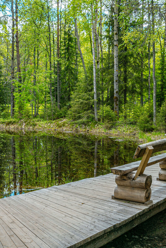 Пруд - Александр Силинский Пруд - Александр Силинский