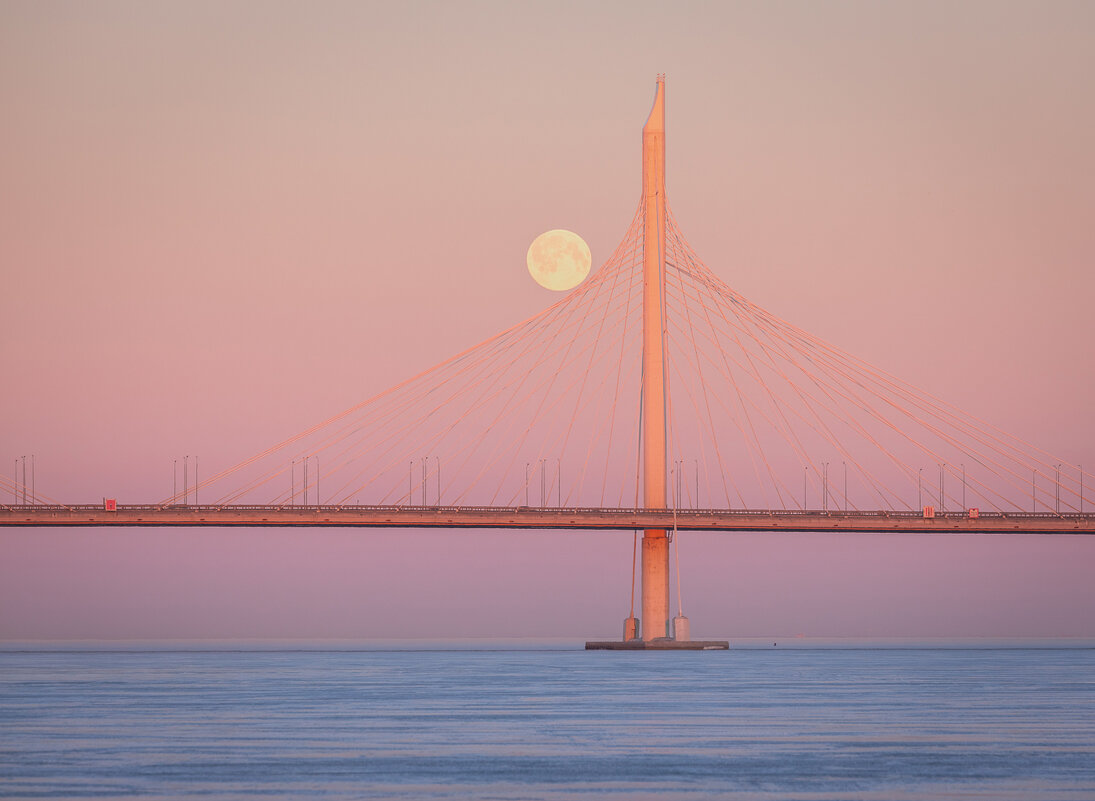 **** - Елизавета .