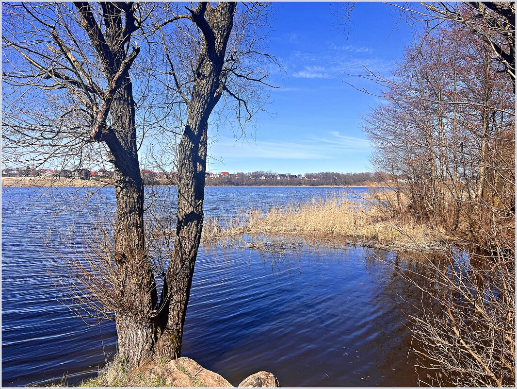 Апрель. - Валерия Комова Апрель. - Валерия Комова