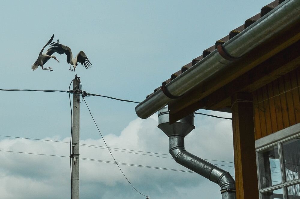 Борьба - Татьяна Аникина