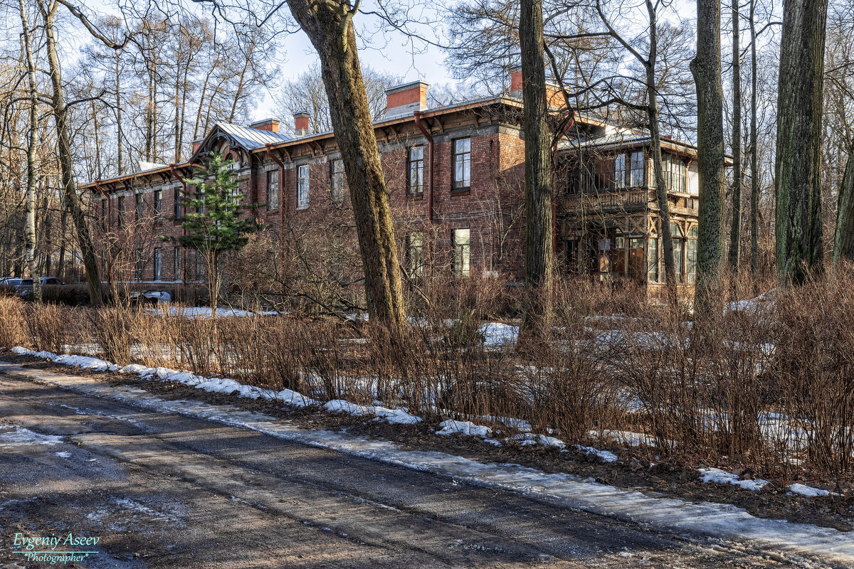 Жизнь на природе - Евгений 