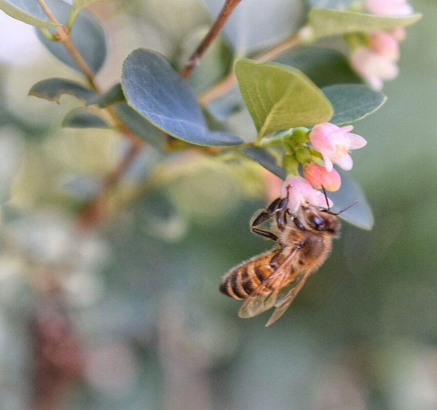 * - Оксана Н.