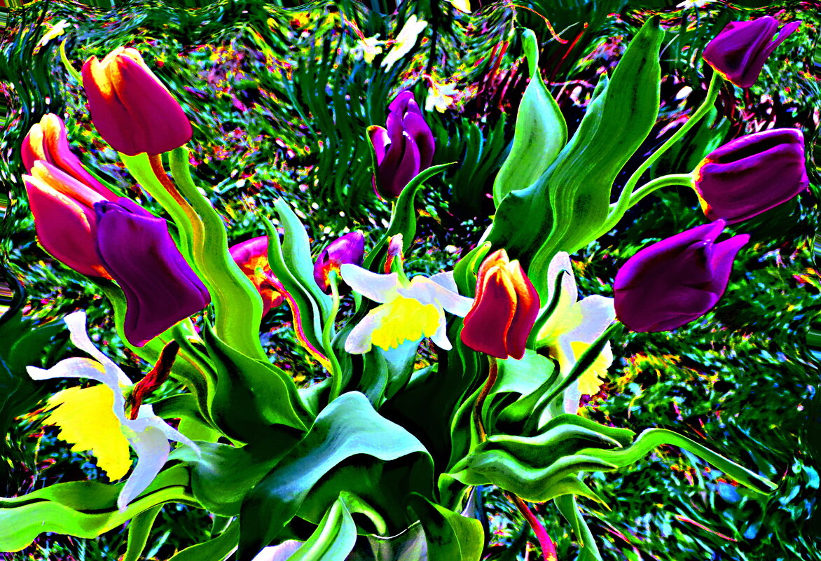 ТЮЛЬПАНОВОЕ ЦАРСТВО - Елена Куприянова 