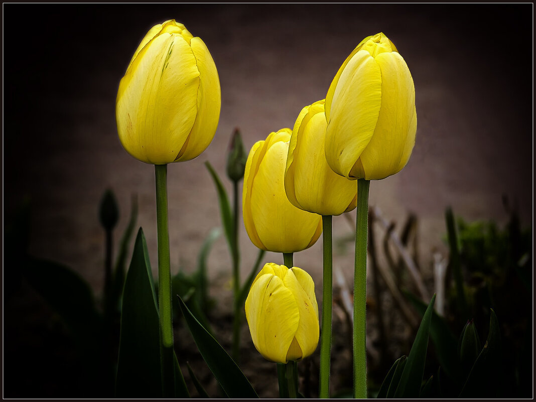 *** - Александр 