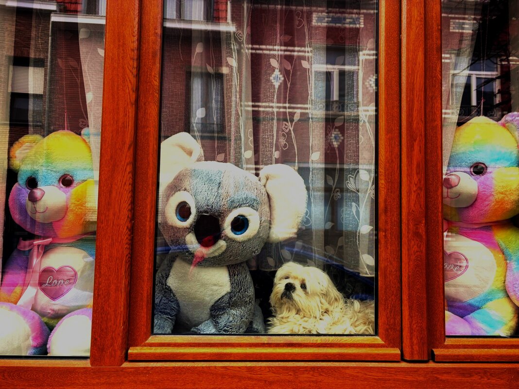 В окошке за стеклом - Aida10 