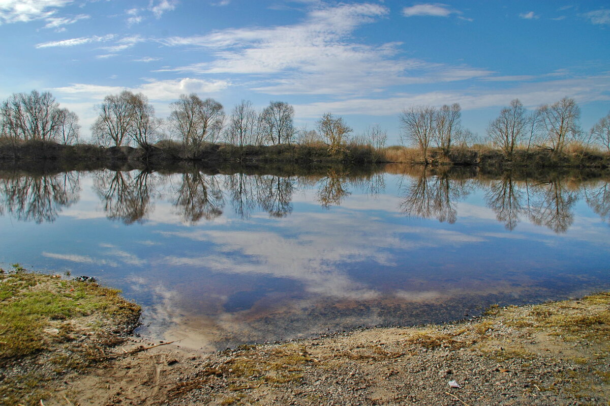 Весенние воды 1 - Елена Пономарева