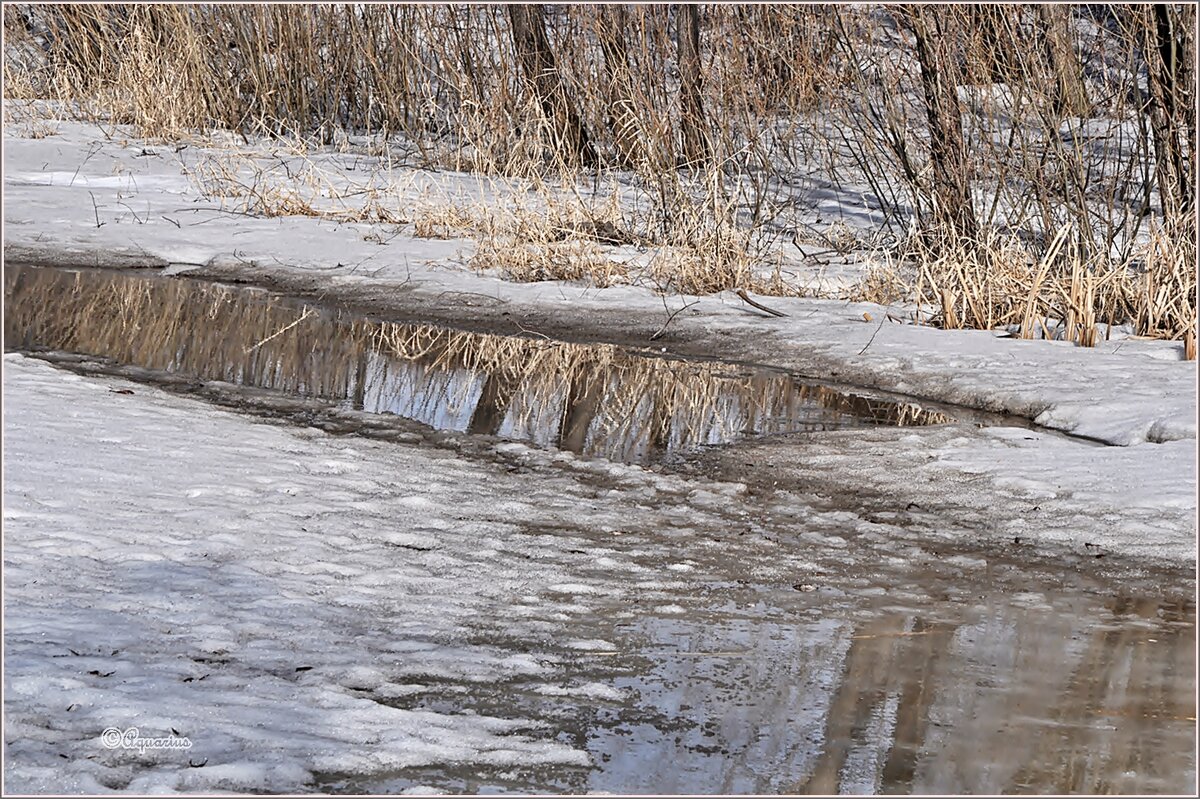 Апрель... - Aquarius - Сергей