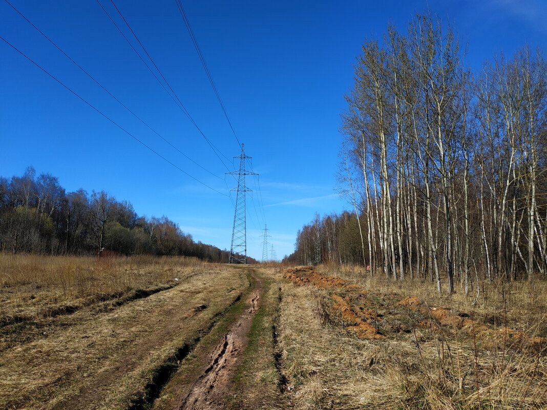 Настоящий апрель - Андрей Лукьянов