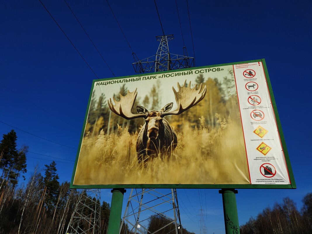 Других лосей в Лосином острове вижу реже :-) - Андрей Лукьянов