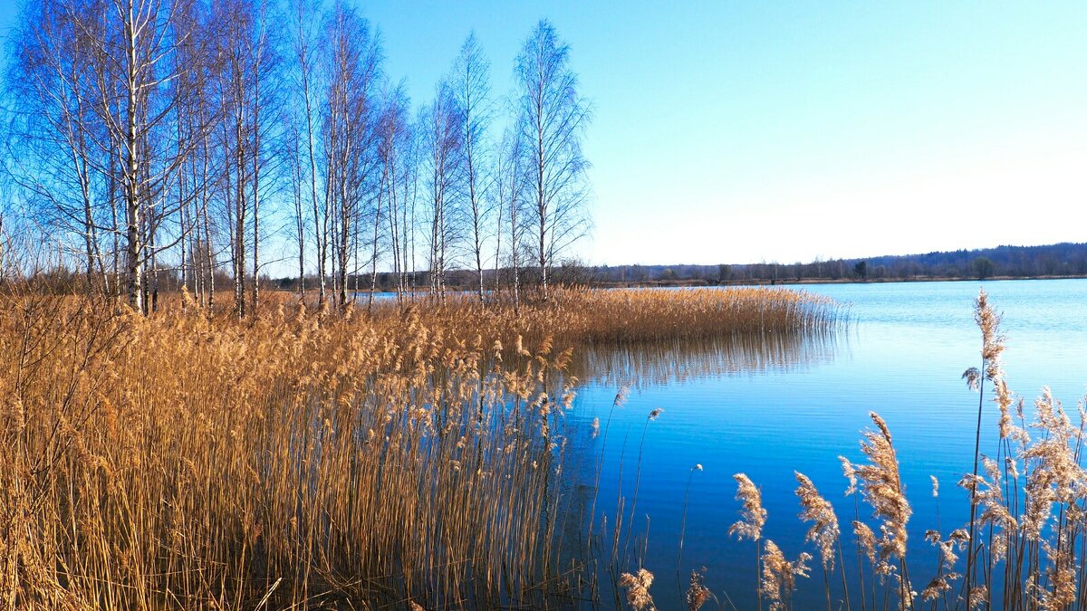 Весна в апреле (репортаж из поездок по). - Милешкин Владимир Алексеевич 