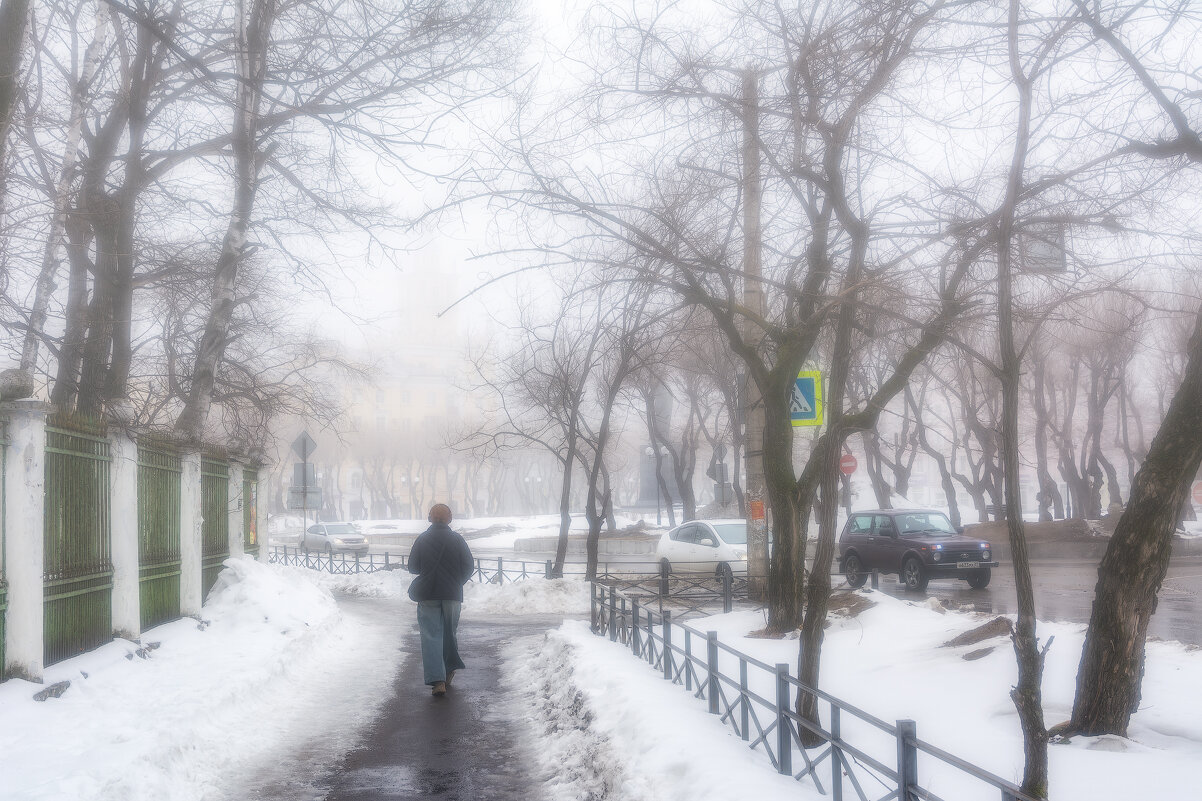 Уходящая в туман. - Виктор Иванович Чернюк