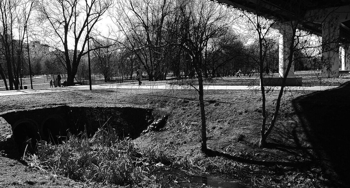 * - Василий Палий