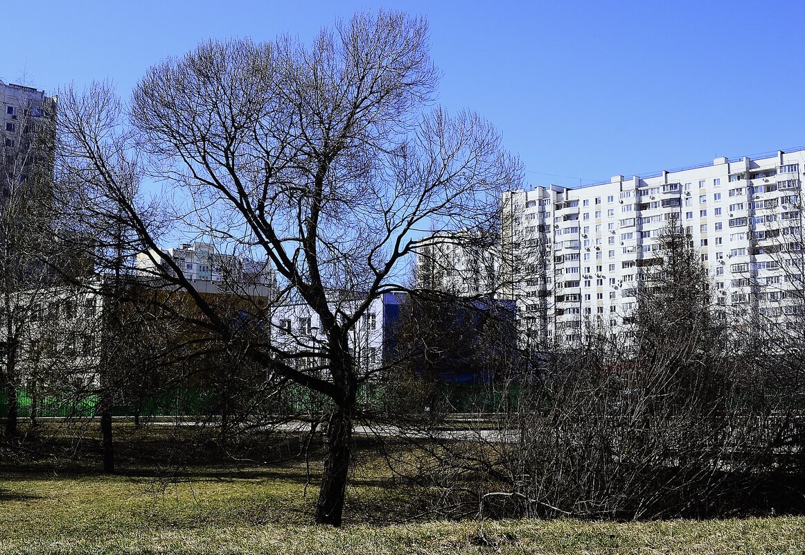 Весенний город. - Василий Палий