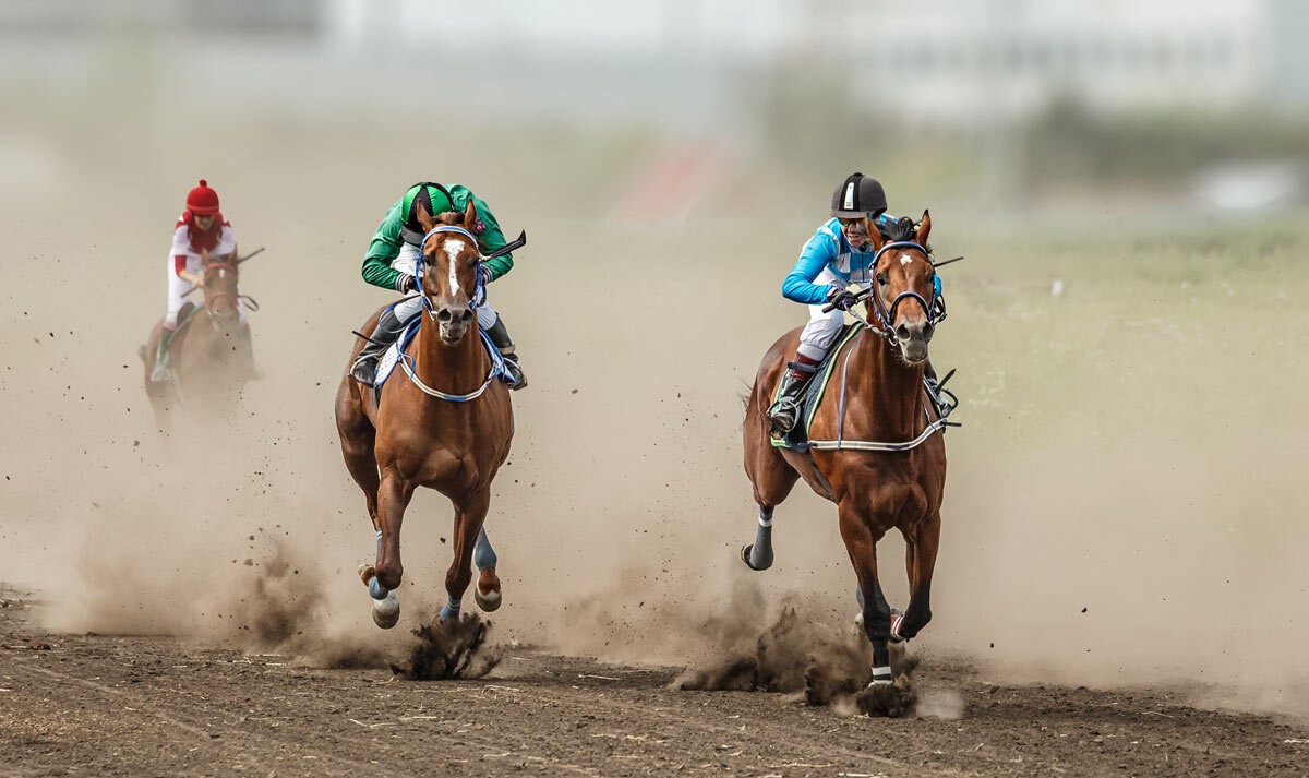 Скачки - SanSan 